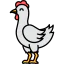 Chicken Ikona 64x64