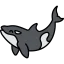Orca icône 64x64