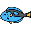 Blue tang fish icône 64x64