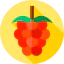 Raspberry 图标 64x64