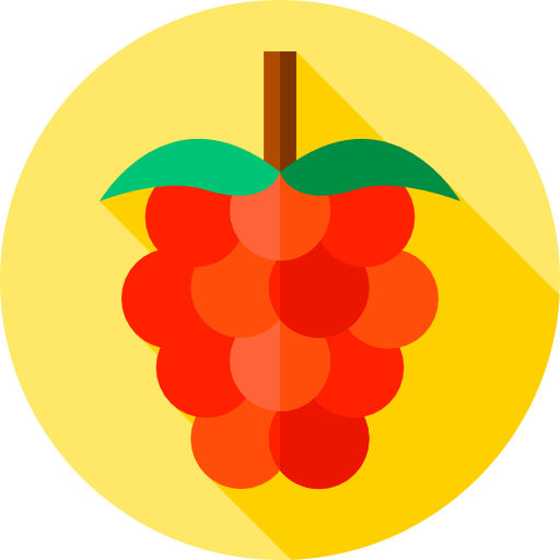 Raspberry アイコン