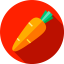 Carrot icon 64x64