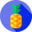 Pineapple ícono 64x64