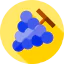 Grape biểu tượng 64x64