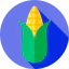 Corn icon 64x64