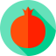 Pomegranate 图标 64x64