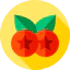 Berries іконка 64x64
