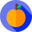 Orange Ikona 64x64