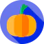 Pumpkin ícono 64x64