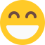 Smiling biểu tượng 64x64