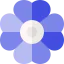 Цветок иконка 64x64