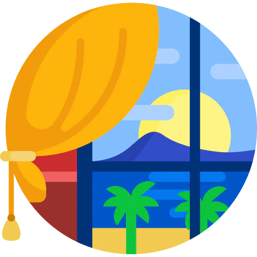 Window icon