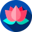 Lotus flower icon 64x64