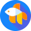 Fighting fish Symbol 64x64