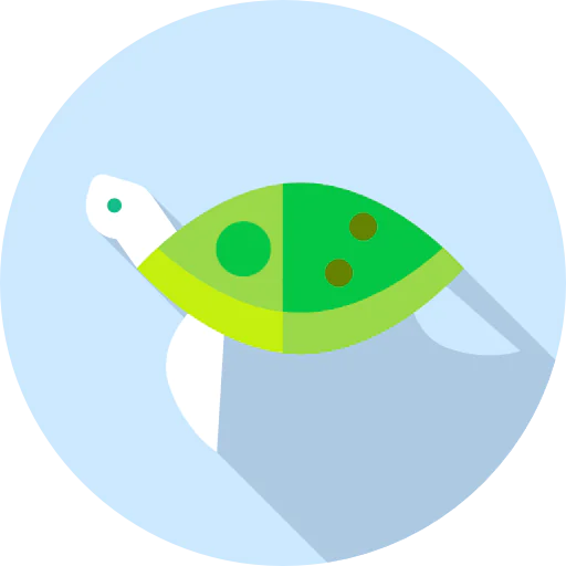 Turtle icône