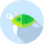 Turtle ícono 64x64