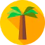 Coconut biểu tượng 64x64
