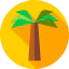 Coconut icon 64x64