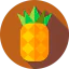 Pineapple ícono 64x64