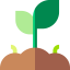 Sprouts ícone 64x64