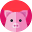 Свинья иконка 64x64