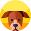 Dog icône 64x64