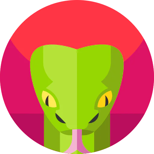 Snake 图标