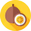 Passion fruit biểu tượng 64x64