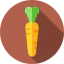 Carrot Ikona 64x64
