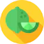 Lime іконка 64x64