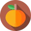 Apricot Ikona 64x64