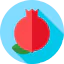 Pomegranate 图标 64x64