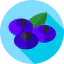 Blueberry biểu tượng 64x64