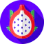 Dragon fruit icon 64x64