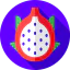 Dragon fruit ícono 64x64