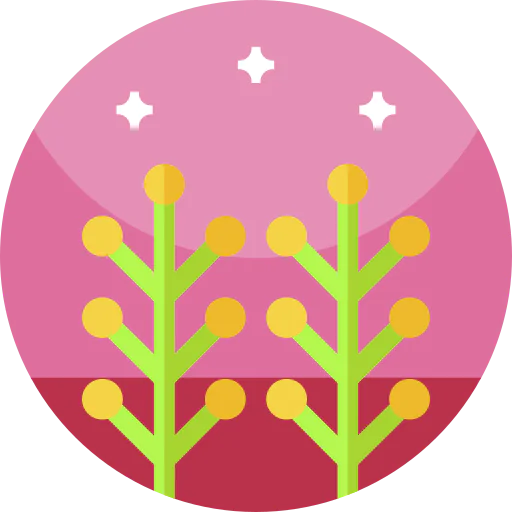 Schefflera icon