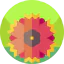 Gaillardia icon 64x64