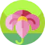 Flower icône 64x64
