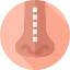Rhinoplasty icon 64x64