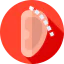 Otoplasty icon 64x64