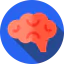 Brain icon 64x64