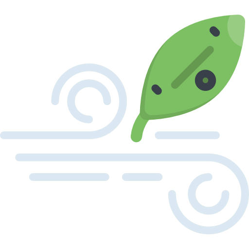 Wind icon