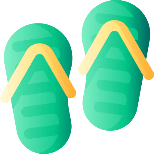 Flip flops icon