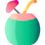 Coconut drink icon 64x64