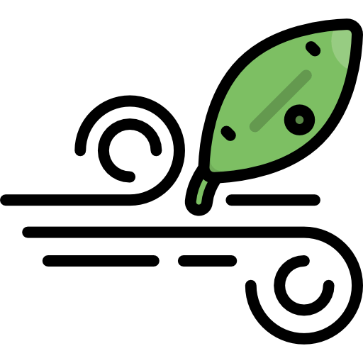 Wind icon