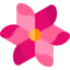 Flower icône 64x64