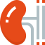 Kidney Symbol 64x64