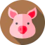 Pork Symbol 64x64