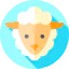 Lamb ícono 64x64