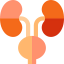 Kidneys іконка 64x64